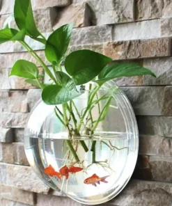 Bình Trồng Cây Thủy Sinh Treo Tường Trong Suốt – Bể Cá Mini Decor Gắn Tường Sáng Tạo